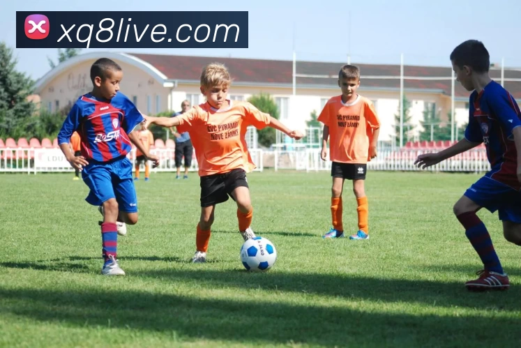 星期8娱乐城官网发展历程